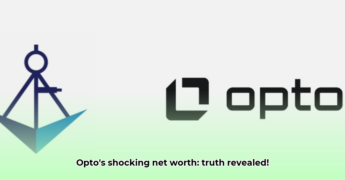 opto-net-worth